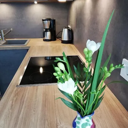 Boddenblick-vilm Apartment *